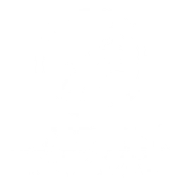 Laser Hair Removal St. Petersburg logo